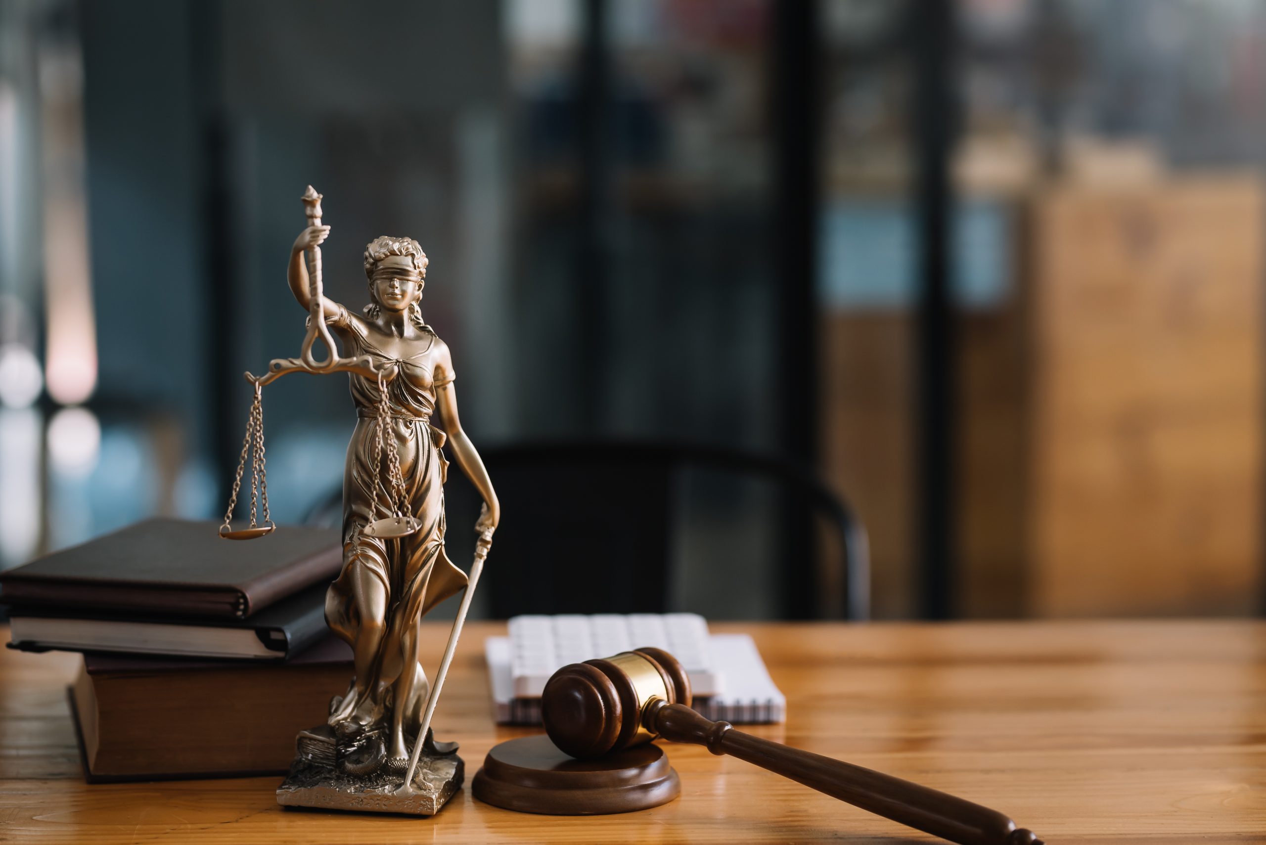 Legal Update II